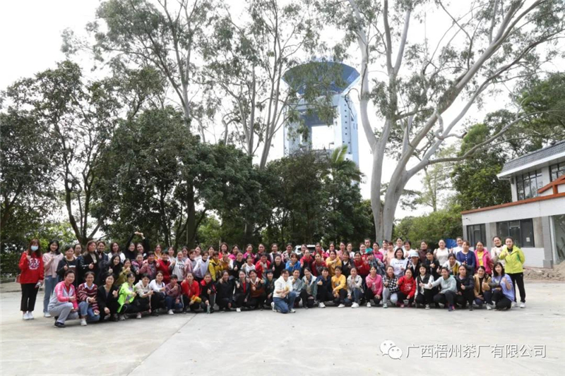 微信圖片_20210309085314_副本.jpg 微信圖片_20210309085314_副本.jpg